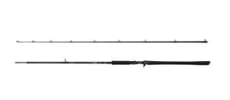 CANNA SAVAGE GEAR ALPHA SG2 MONSTER BC - 2.59 M - 50-110 G