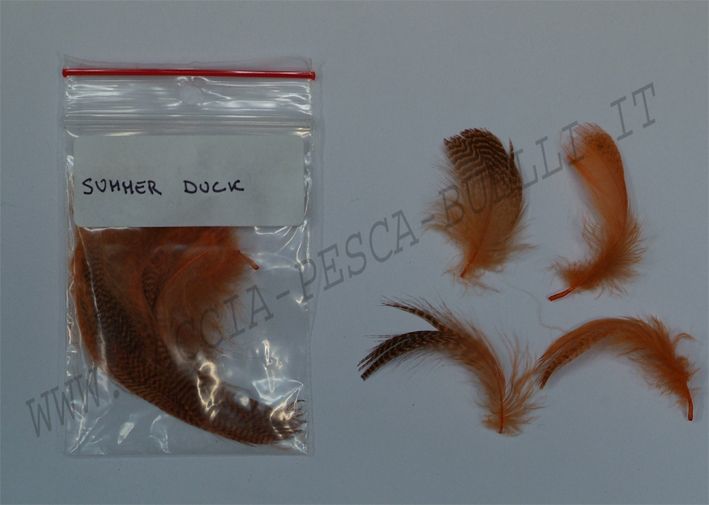ALZAVOLA SUMMER DUCK