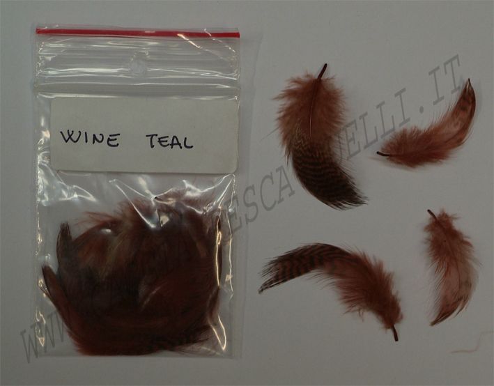ALZAVOLA WINE TEAL