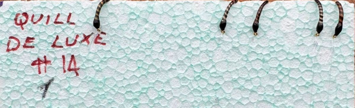 MONTATURA 10 AMI DEL 14 - COLORI RUSTY BROWN, BROWN E NATURALE