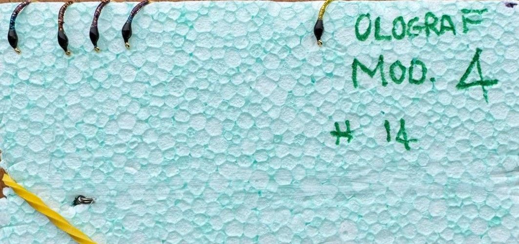 MONTATURA 10 AMI DEL 14 - OLOGRAFICHE N. 4 - STELLAR, LIMONE, COPPER E CLARET