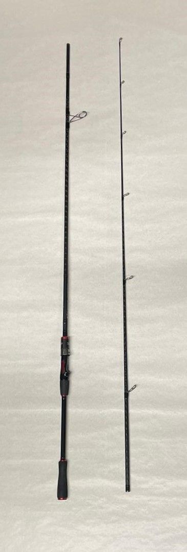 CANNA USATA DAIWA NINJA EVOLUTION - 2.44 MT - 20-60 G