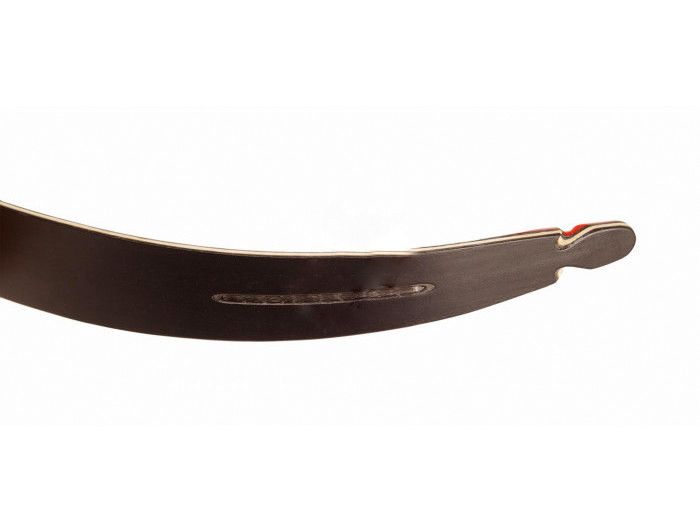 BIG ARCHERY FLETTENTI EVO SCUOLA SHORT - 24lbs.