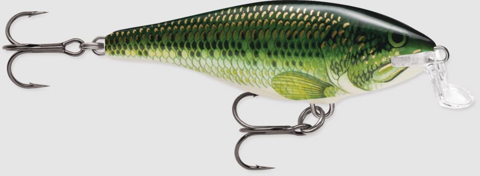 RAPALA SHALLOW SHAD RAP 5 BB