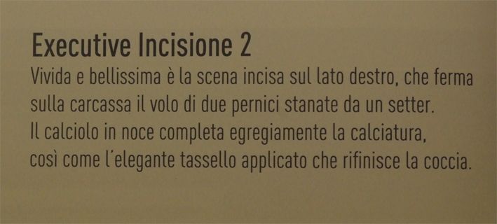 BENELLI RAFFAELO EXECUTIVE CAL12 - SEM-U-09