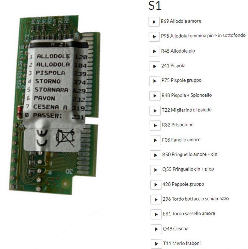 BERETTI SCHEDA 16 CANTI S1 PER MODELLO B18 