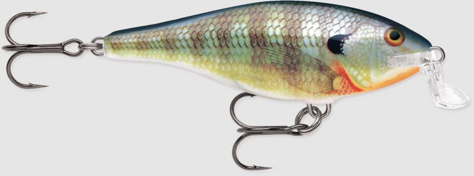 Shallow Shad Rap 8 BG