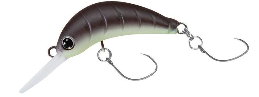 MASUNO IMOMUSHI BROWN GLOW