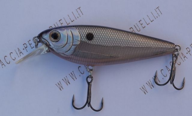 MOLIX BRUGAS 62