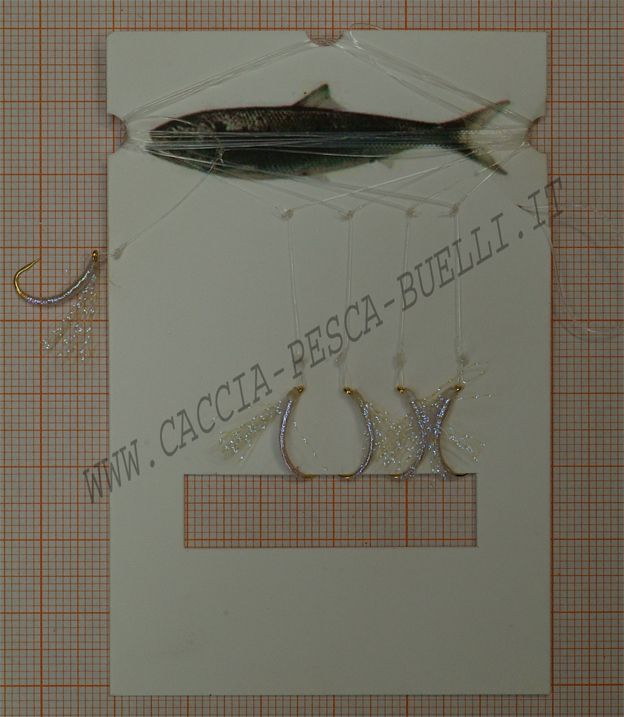 CENTURY AMETTIERA 5 AMI ULTRA VIOLET