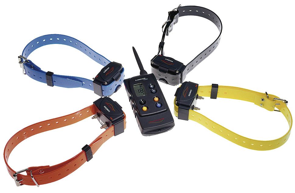 COLLARE AGGIUNTIVO CANICOM 200-500-800-1500 ARANCIO