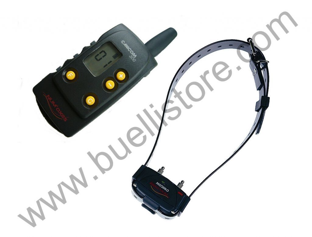 CANICOM 300 TELECOMANDO E COLLARE