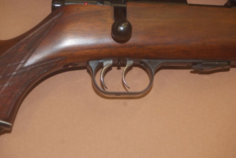 WEIHRAUCH HW60J CALIBRO 22 CON OTTICA BUSHNELL 3-9X50 USATA 