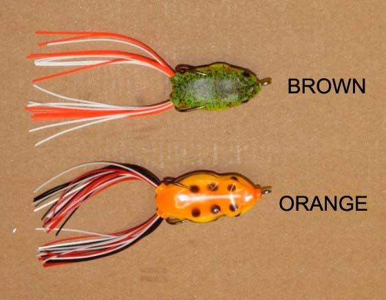 CARSON TAMURA FROG  