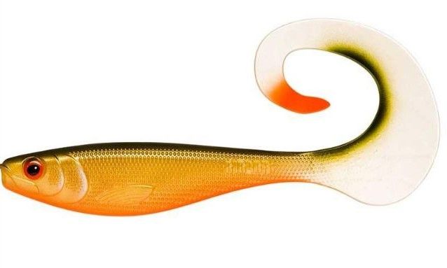 SOFT OTUS SCALED ROACH