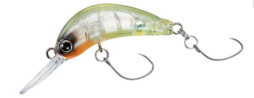 MASUNO IMOMUSHI CLEAR CHART