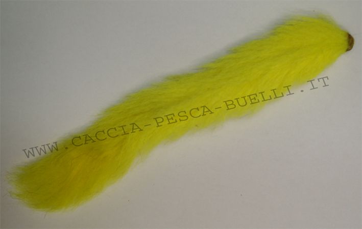 GIORGIO BENECCHI CODA VITELLO GIALLA