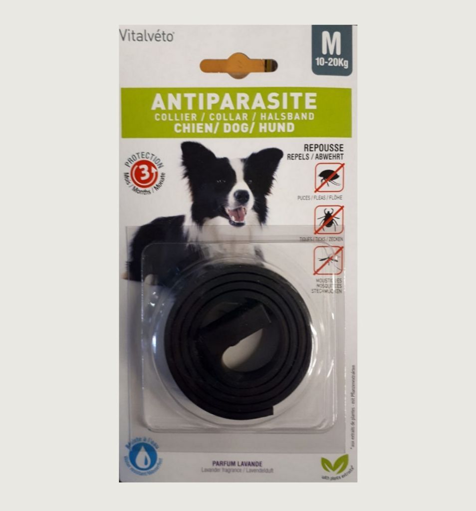 COLLARE ANTIPARASSITARIO PER CANI DI TAGLIA MEDIA (10-20 KG)