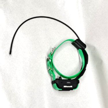 BENELLI CADDY - COLLARE SATELLITARE AGGIUNTIVO - VERDE