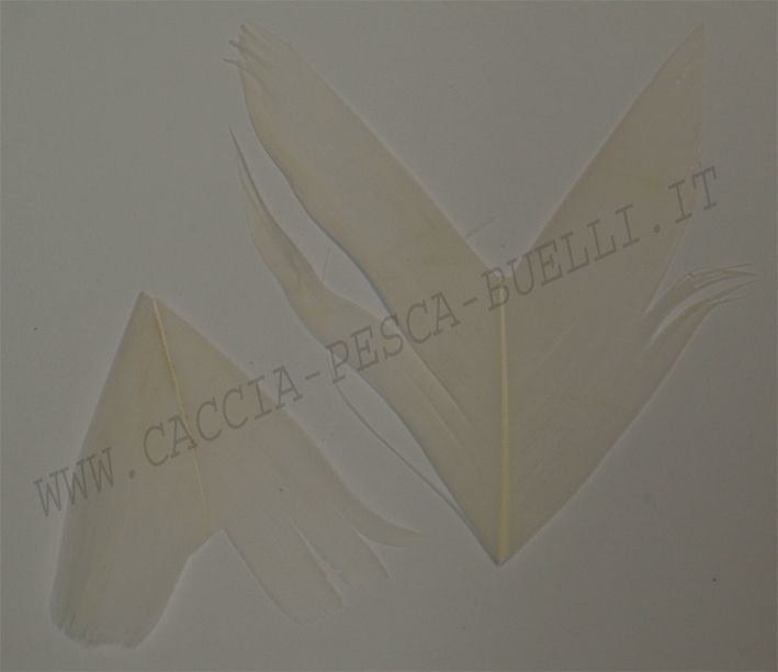 VENIARD CONDOR BIANCO