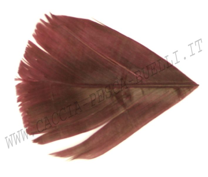 VENIARD CONDOR BORDOU