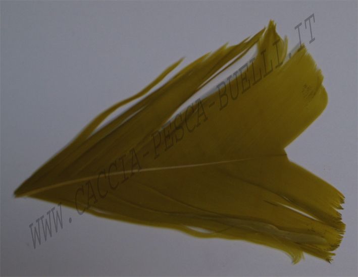 VENIARD CONDOR LIGHT OLIVE