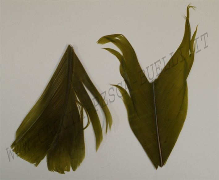 VENIARD CONDOR OLIVE