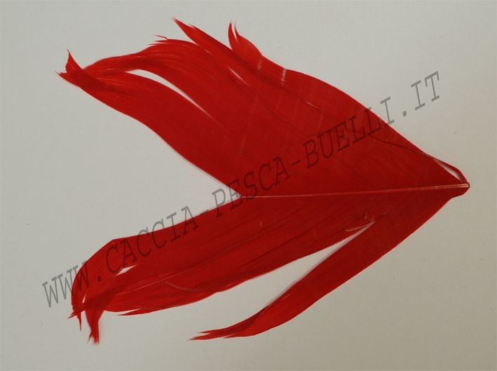 VENIARD CONDOR ROSSO