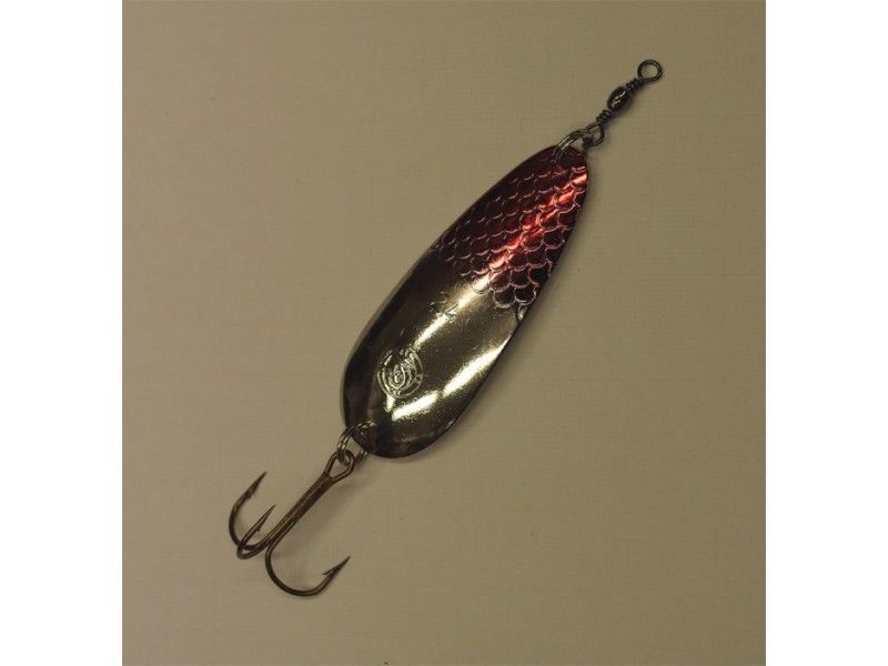 ARDITO SQUAMATO