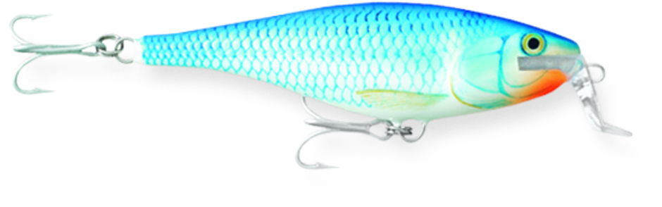 Super Shad Rap 14 BSH