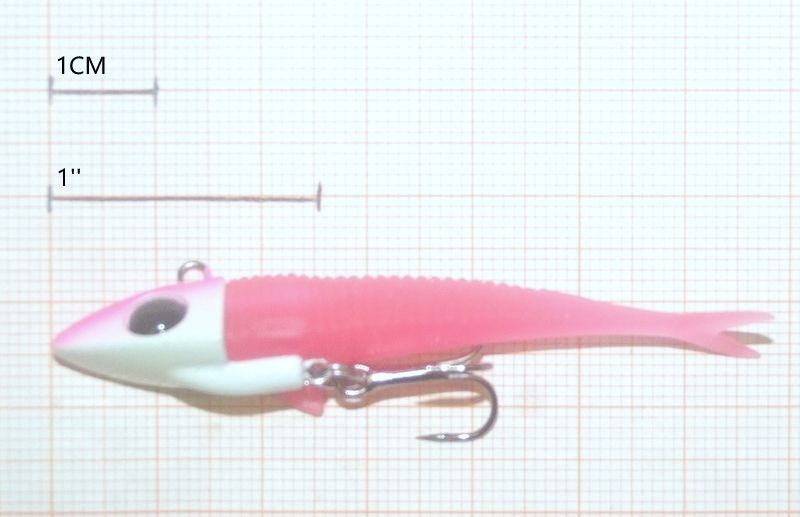 DAMIKI BOBSLEIGHT 8 GRAMMI - 7 CM 