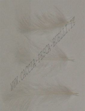 DEVAUX CUL DE CANARD - BIANC