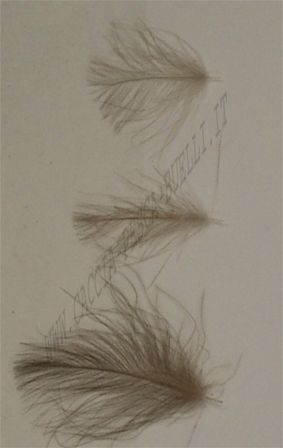 DEVAUX CUL DE CANARD - NOIR