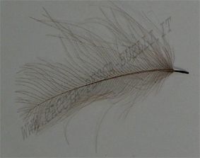 DEVAUX CUL DE CANARD - GRIS