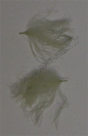 MAJORA CUL DE CANARD PUFFS - OLIVE BLUE DUN
