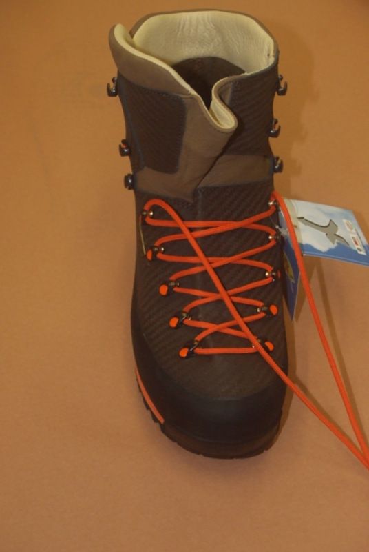 DIOTTO WOODCOCK HV 546 + OMAGGIO