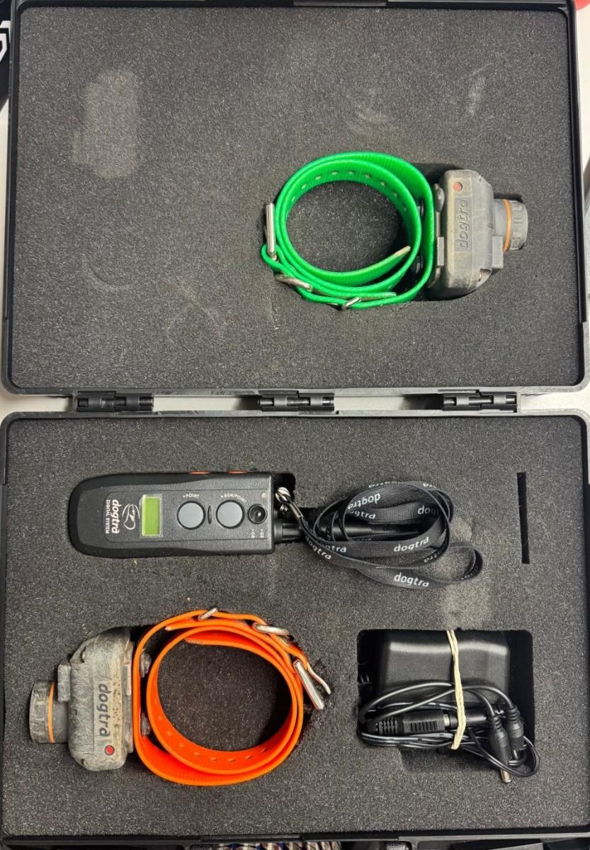 DOGTRACE USATO SET DA 2 DOGTRA RB1200