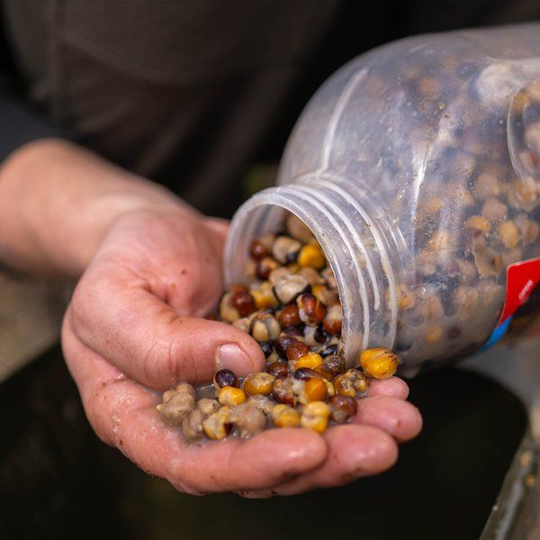 NASH PASTURA CARPFISHING - LARGE SEED MIX