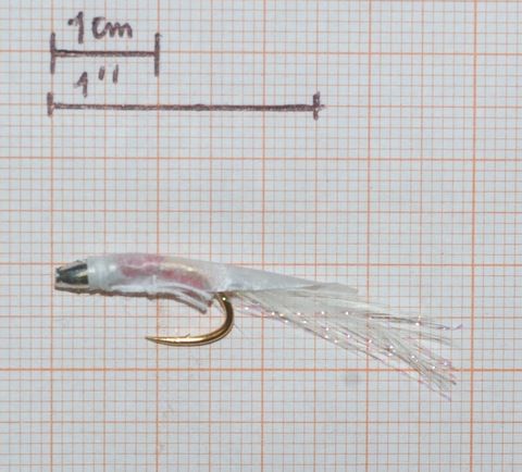 YAMASHITA AMI DA MONTARE KABURA 10 PEZZI