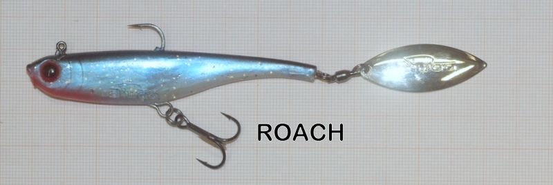 BIWAA DIVINATOR JUNIOR 14 CM 22 GRAMMI ROACH