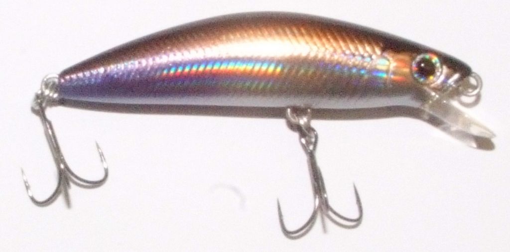  Cardiff Folletta 50SS Pond Smelt