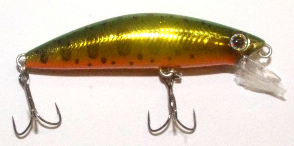  Cardiff Folletta 50SS Green Back