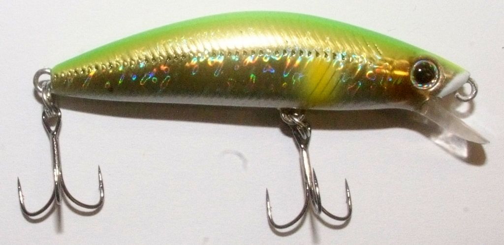 Cardiff Folletta 50SS Lime Back