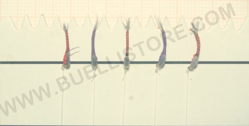 MONTATURE COREGONI A 5 AMI - AMO:14 - MOD104