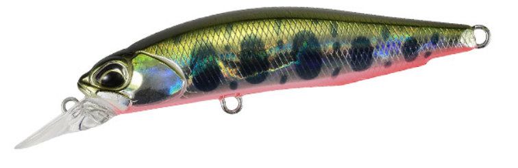DUO REALIS ROZANTE 77SP - YAMAME RED BELLY