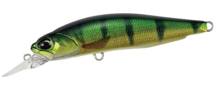 DUO REALIS ROZANTE - 63 SP - PERCH ND