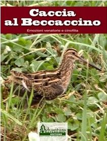 DVD + LIBRETTO CACCIA AL BECCACCINO