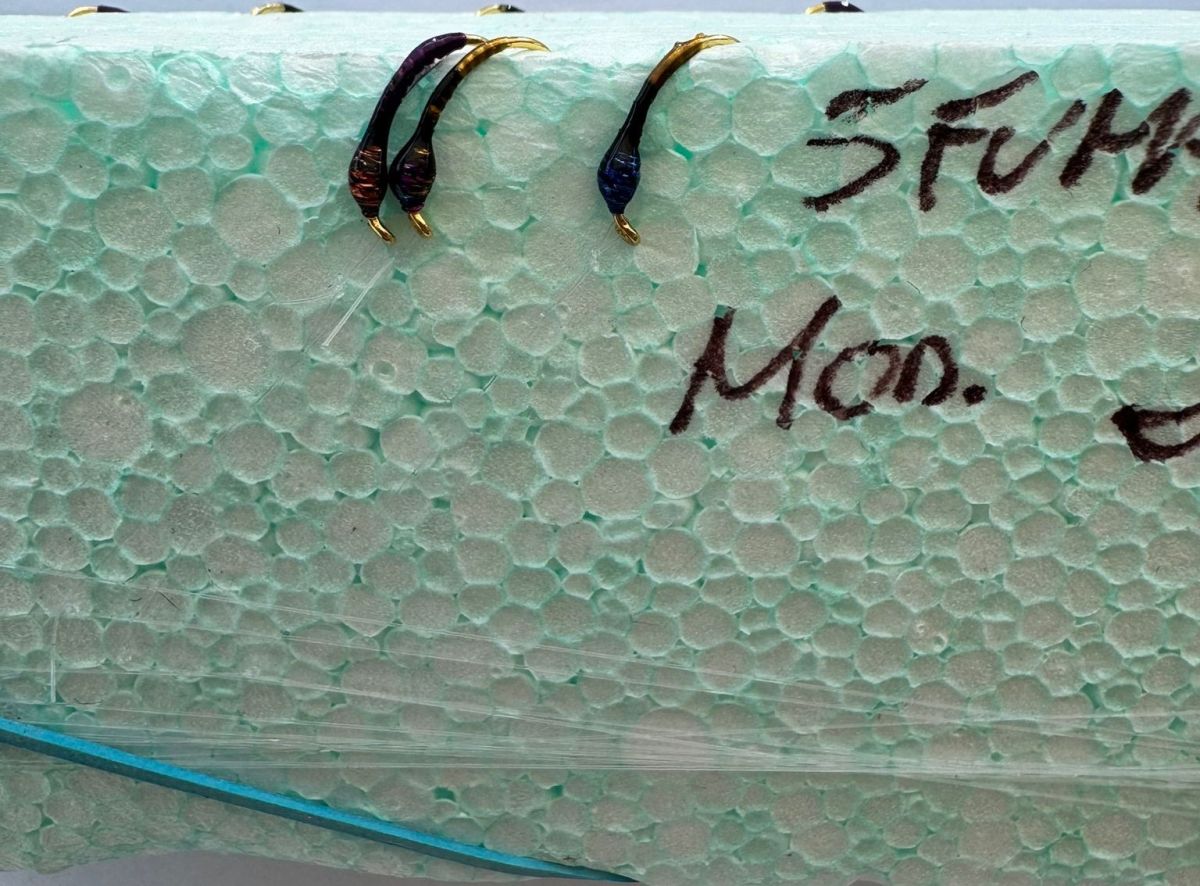 MONTATURA 10 AMI DEL 14 - SFUMATA N. 2 - NERO, VIOLA, ROSSO E OLIVA