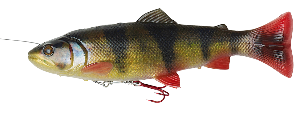4D LINE THRU PULSE TAIL TROUT 20CM PERCH