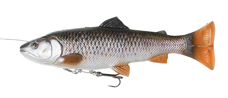 4D LINE THRU PULSE TAIL TROUT 20CM CHUB